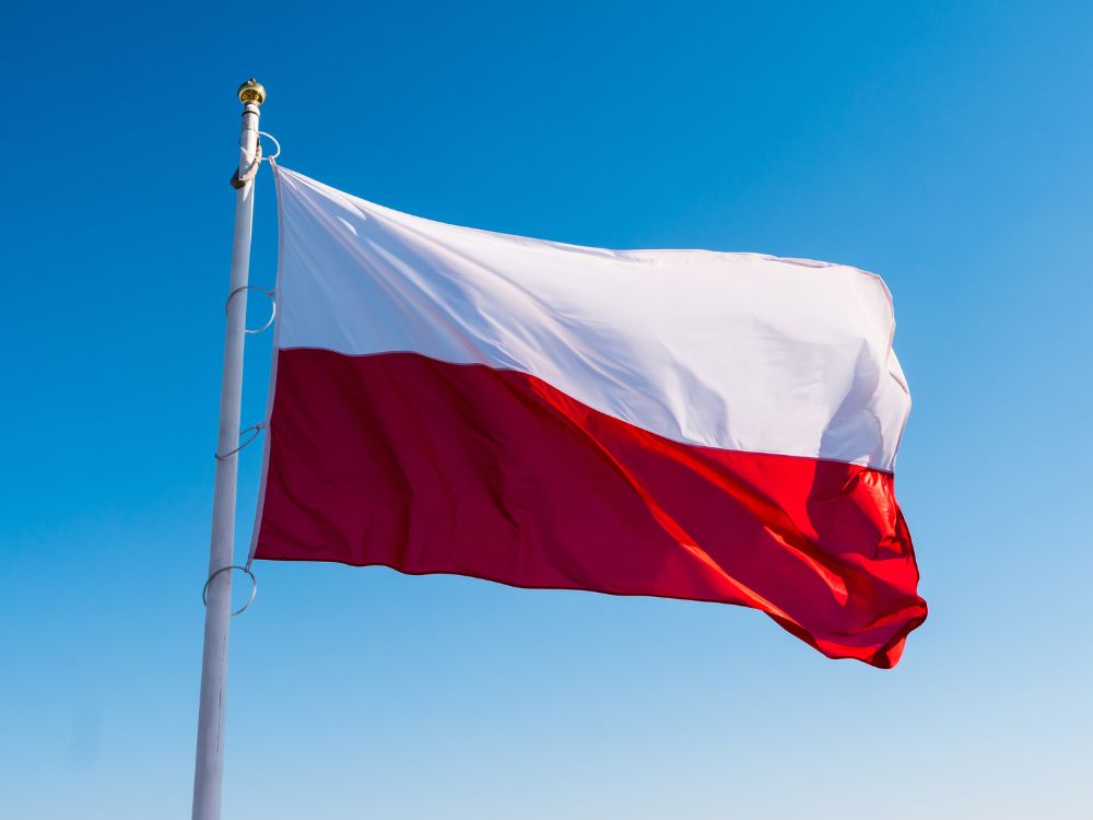 Polska produkcja (1)